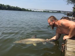 Kulcsár Norbert 07.22. 17kg