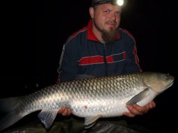 Kulcsár Norbert 0619. 15,3kg