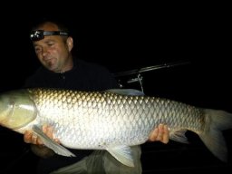 Ménesi Csaba 13,5kg