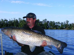 Papp és Ifj Papp amurjai 16,5kg 2013. 07.