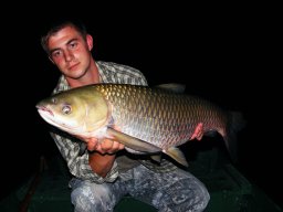 Papp és Ifj Papp amurjai 10,5kg 2013. 07.