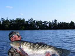 Papp és Ifj Papp amurjai 16,1kg 2013. 07.