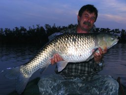 Papp és Ifj Papp amurjai 15,2kg 2013. 07.