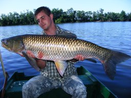 Papp és Ifj Papp amurjai 12,8kg 2013. 07.
