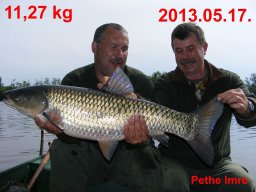 Pethe Imre halai