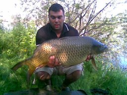 Sós Norbert 11,8 kg 04.26.