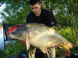 Szabó Bence 15,92kg Atka