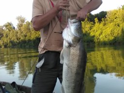 Szkurák László 07.18. 9,5kg_1