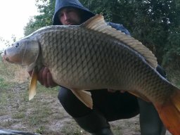 Tanács István szept.10,2kg