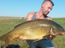 Tanács István szept. 16kg