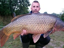 Tanács István szept.18kg