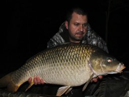 Tímár Miklós 04.20. 11,5kg