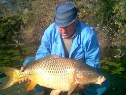 Tösmagi János 10.31. 12,9kg