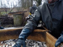 2016. tavaszi lehalászás