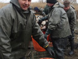 tavaszi_lehalszs_2017_1_20170312_1248802196