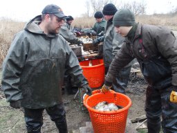 tavaszi_lehalszs_2017_5_20170312_1361268370