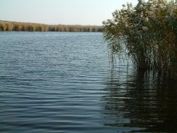 Kakasszéki-tavak