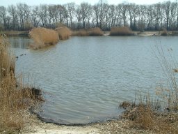 Makói Téglagyári-tavak