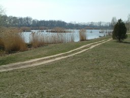 Makói Téglagyári-tavak
