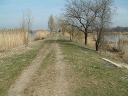 Makói Téglagyári-tavak
