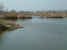 Makói Téglagyári-tavak