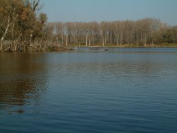 Mártélyi-holtág