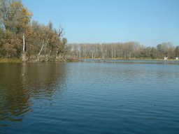 Mártélyi-holtág