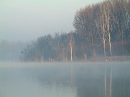 Mártélyi-holtág