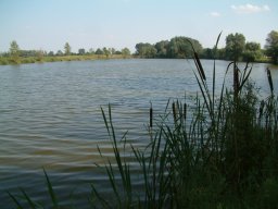 Öregsori tározó, Ruzsa