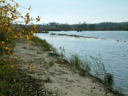 Sándorfalvi-tó (HOHE)
