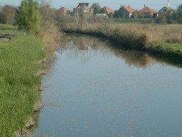 Kórógy csatorna