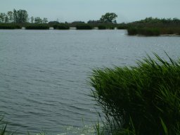 Vályogos