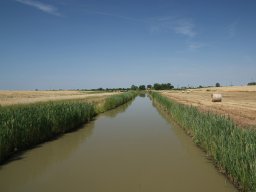 ludas_er_022