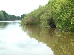 Algyői csatorna