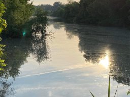 Algyői- főcsatorna_3