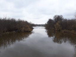 Algyői-főcsatorna_1