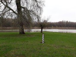 Folyóvizek