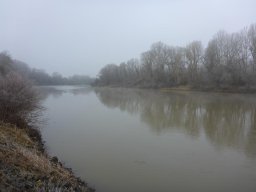 Tisza_11
