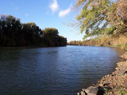 Tisza_12