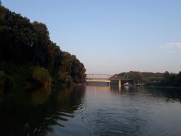 Tisza_13