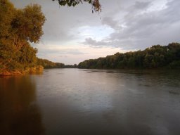 Tisza_17