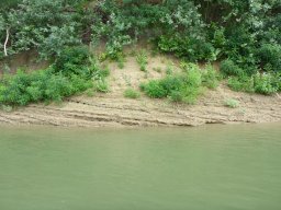 Tisza_18