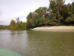 Tisza_2