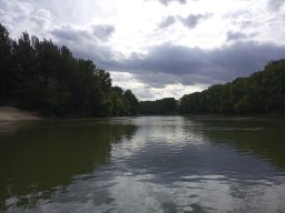 Tisza_3
