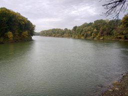 Tisza_5