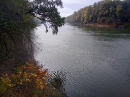 Tisza_6