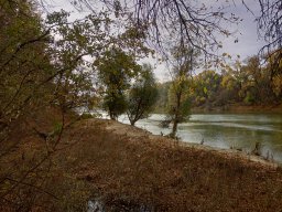 Tisza_7