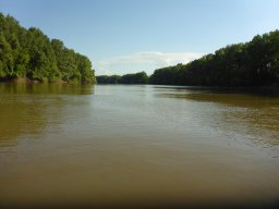 Tisza_8