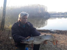 Akolszögi Holt-Tisza_12