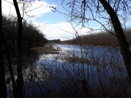 Akolszögi Holt-Tisza_3